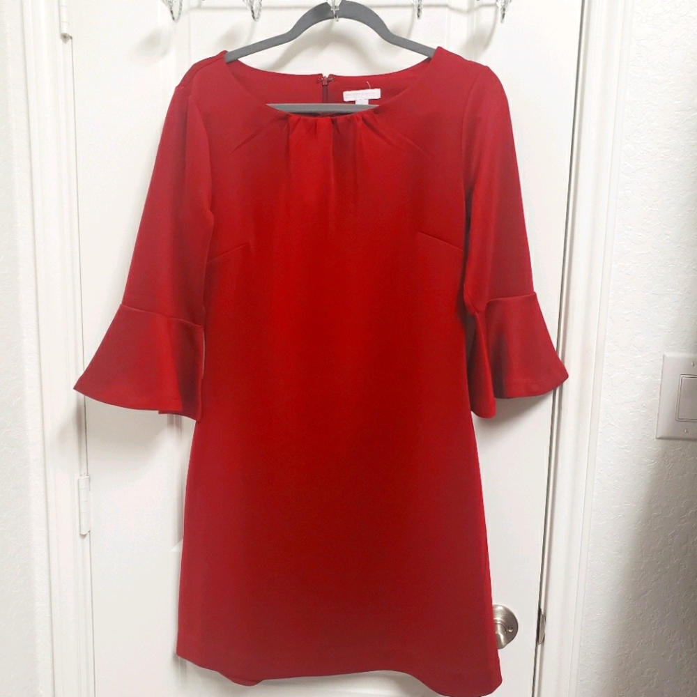 Flair Sleeve Mini Dress